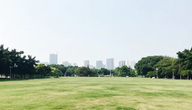 北京定制网站哪家好 企业名录查询服务如何助力企业展示